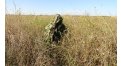 Маскировочный халат Taganrog Кикимора – купить по цене 3550 руб. в интернет-магазине в городе Липецк картинка 13